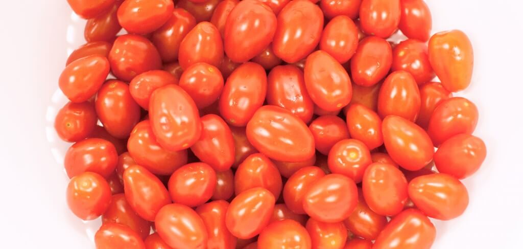 Freeze Drying the Harvest