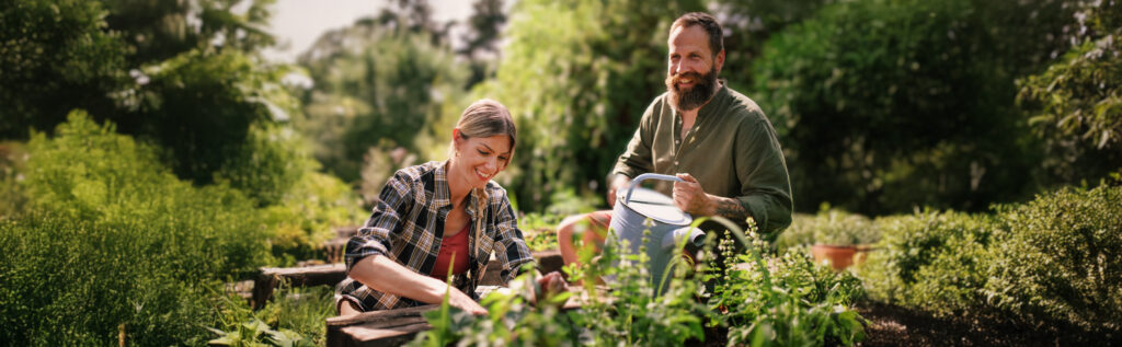 Freeze-Dry Your August Garden Surplus
