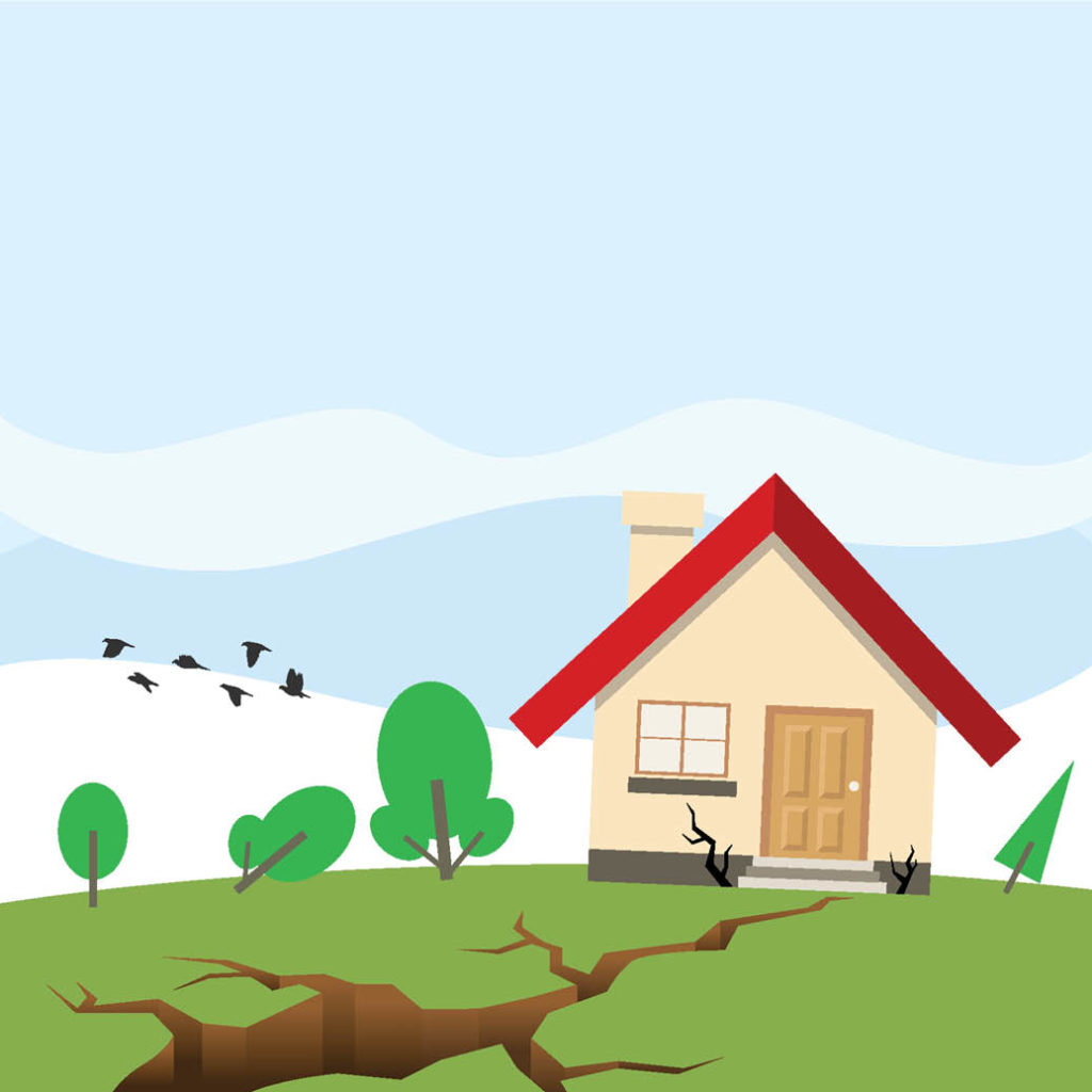 THE BEST FOOD FOR AN EARTHQUAKE