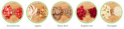 Cost and Quality of Harvest Right vs Store-bought Freeze Dried Food