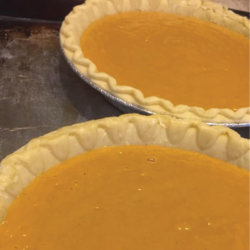 Pumpkin Pie Mix: Freeze Dried and Rehydrated