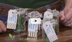 Freeze Dried Herbs with Stacy Lyn Harris