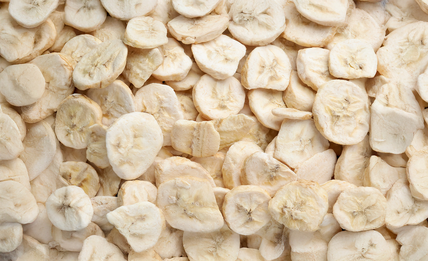 Freeze Drying Bananas