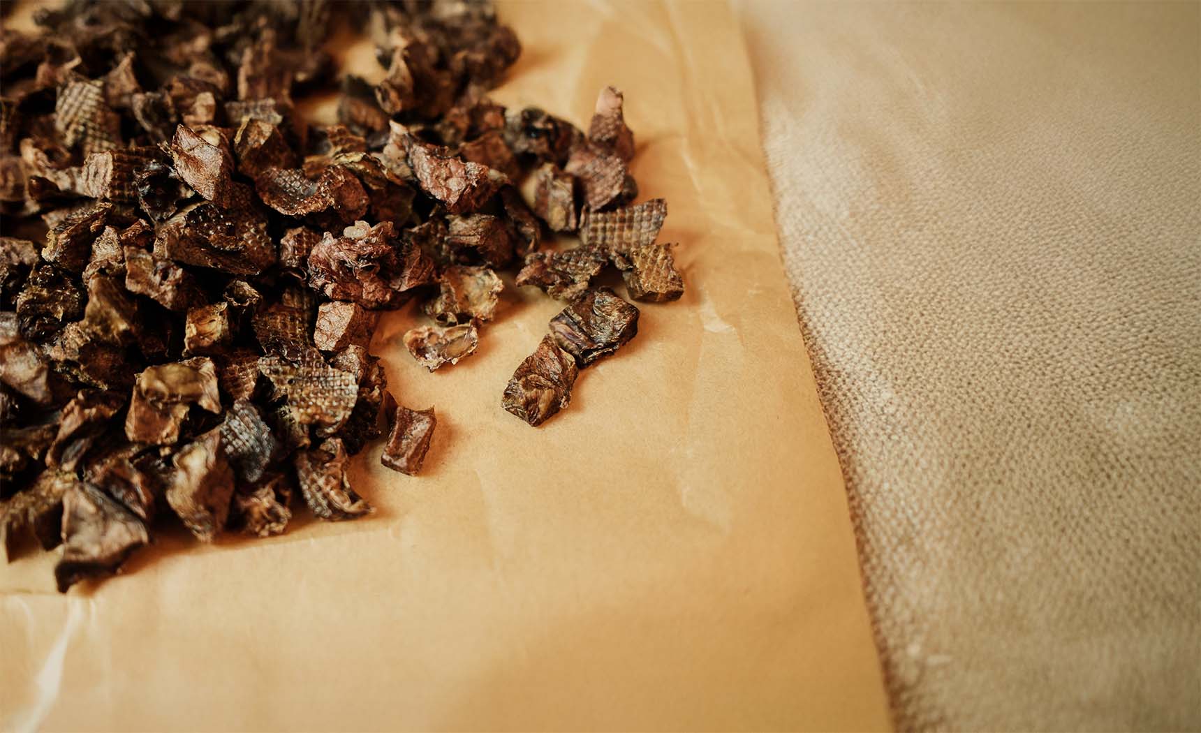 What Are You Feeding Your Dog?