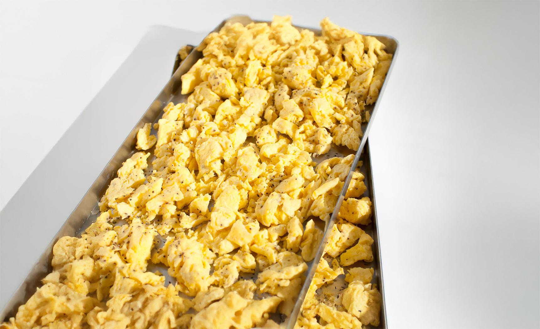 Freeze Drying Protein
