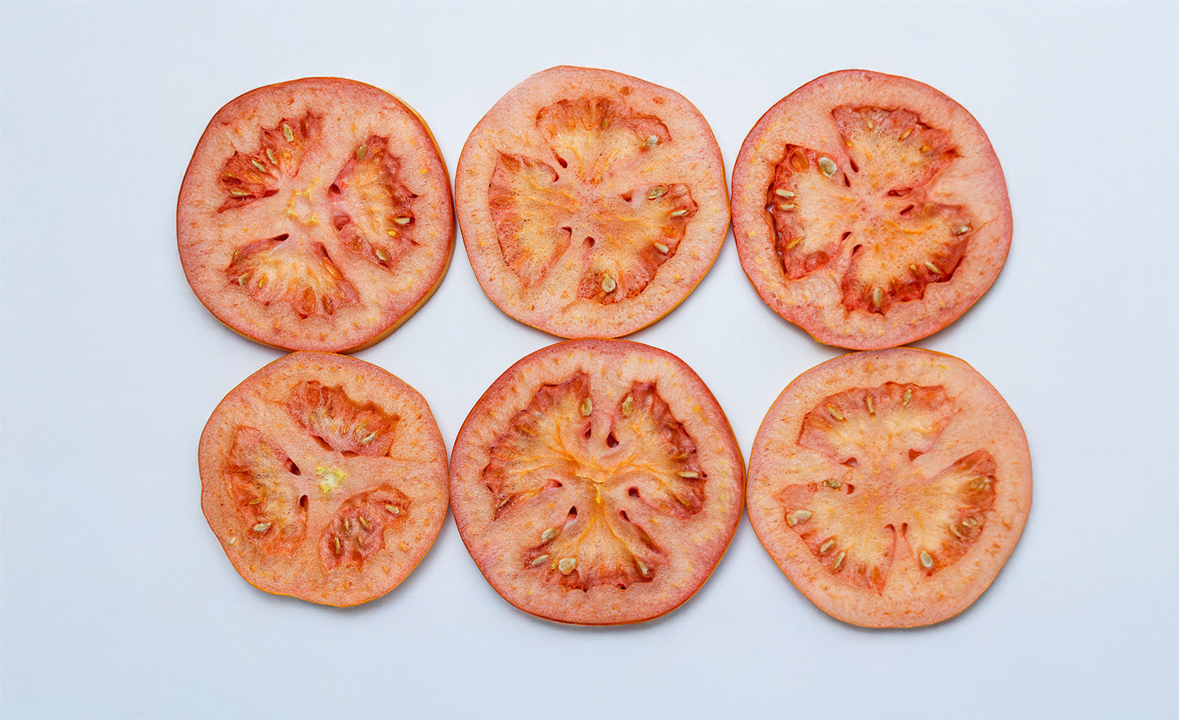 Freeze Drying Cottage Cheese and Tomatoes