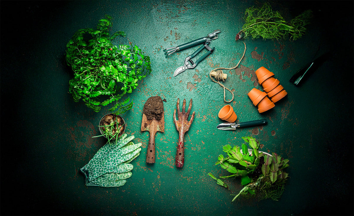 5 Must-Have Garden Gadgets to Make Gardening Easier