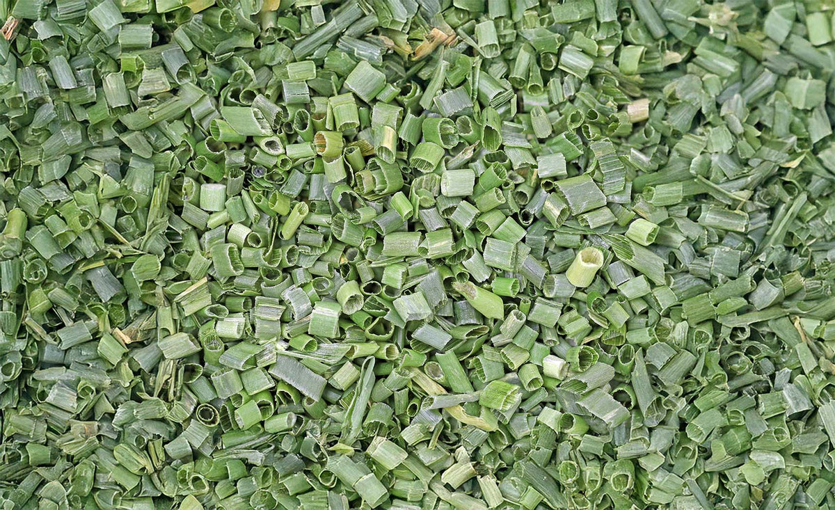 Stop Wasting Fresh Herbs: Freeze-Dry the Extra