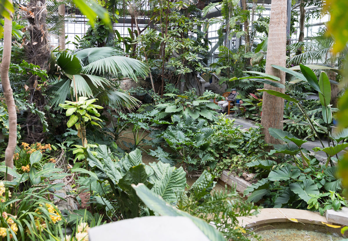 9 Botanical Gardens Worth Visiting This Summer