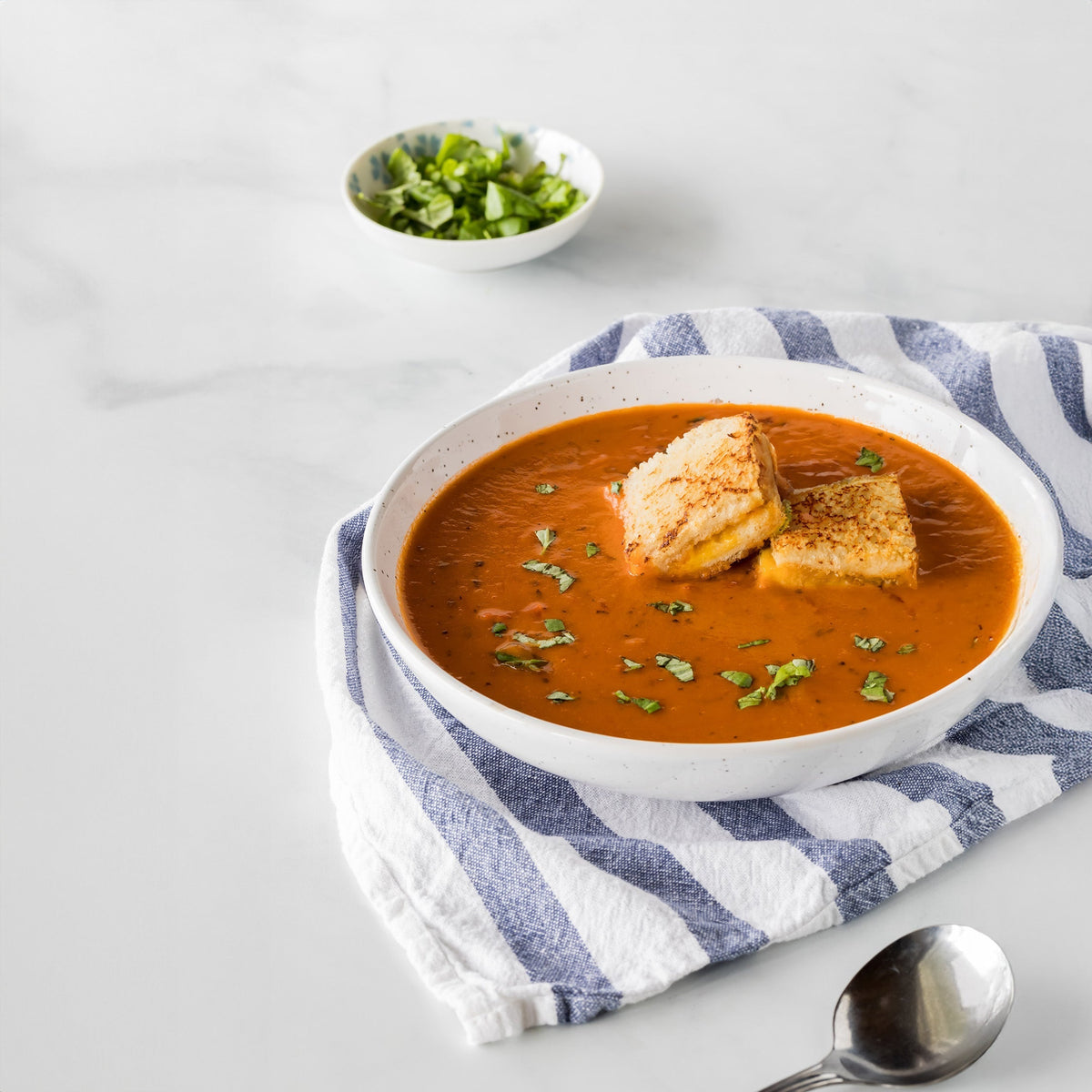 Freeze-Dried Grilled Cheese Croutons for Soup