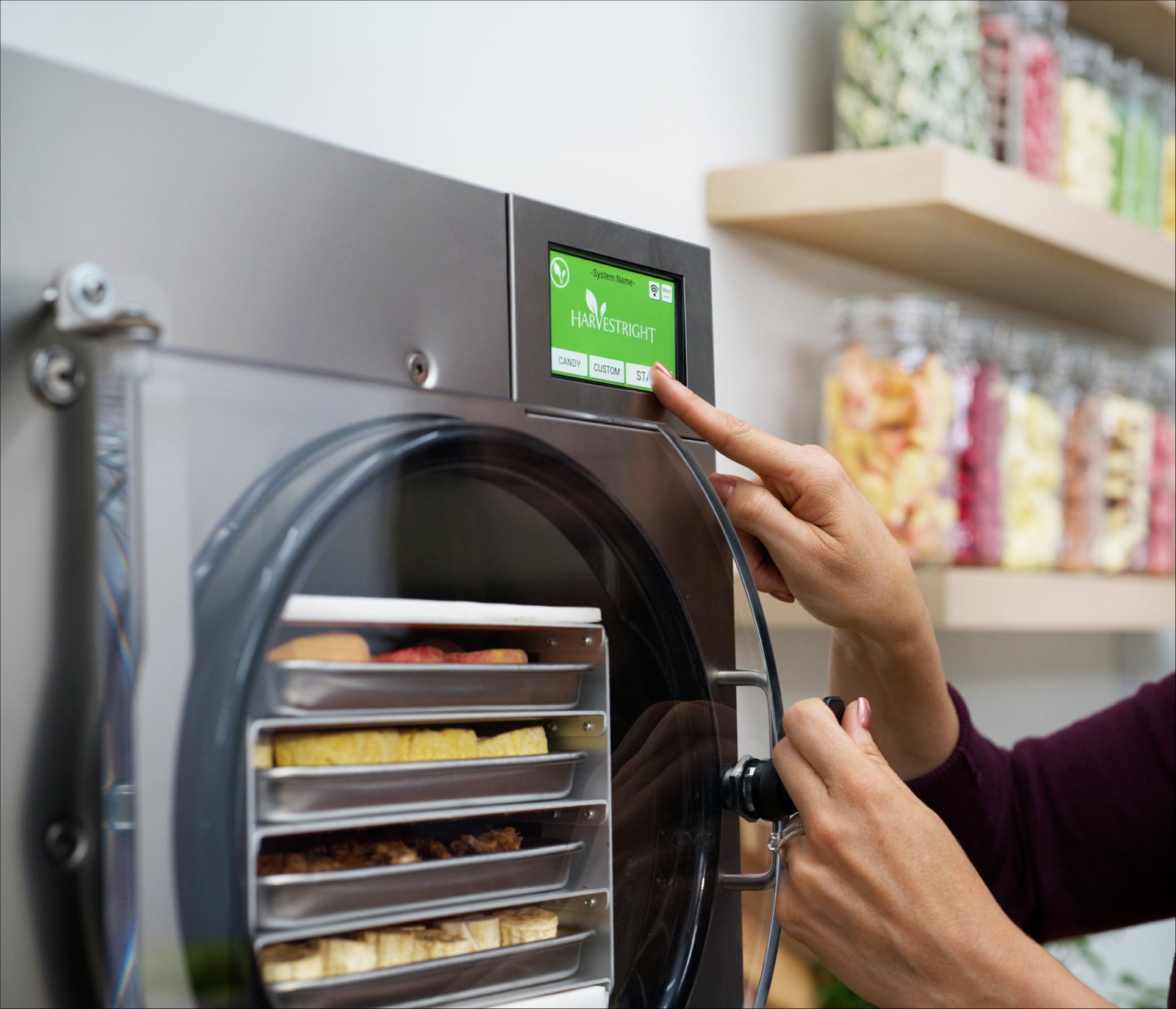 What Is Freeze Drying?