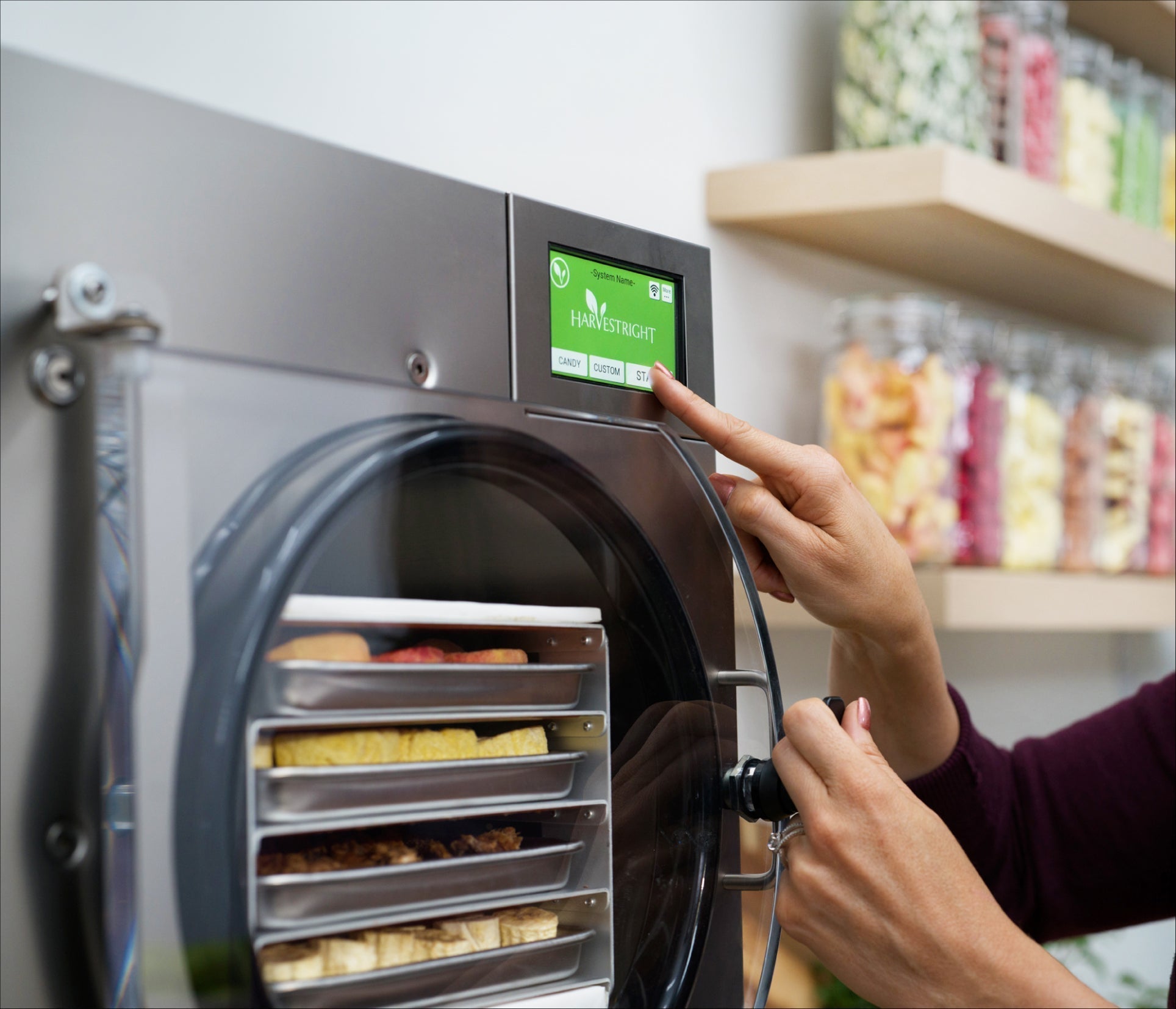 What Is Freeze Drying?