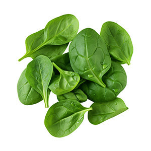 Spinach & Kale: High-Yield Veggies to Freeze-Dry