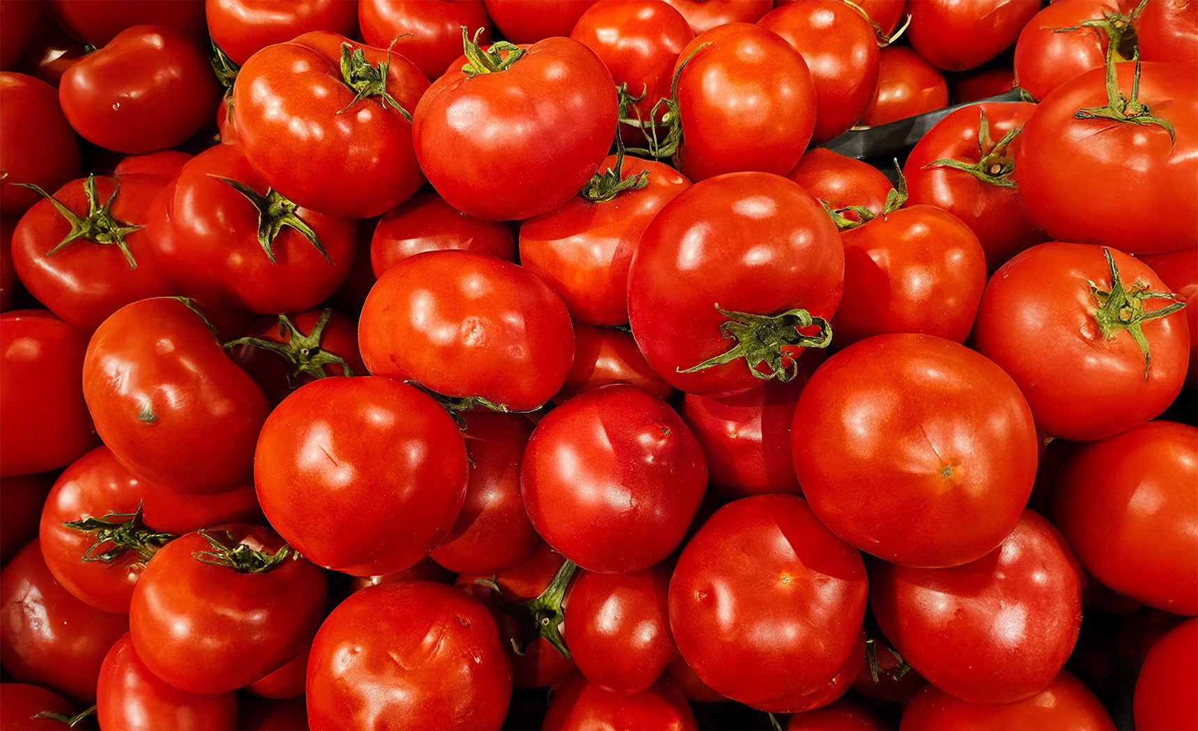 How to Freeze Dry Your Garden Harvest