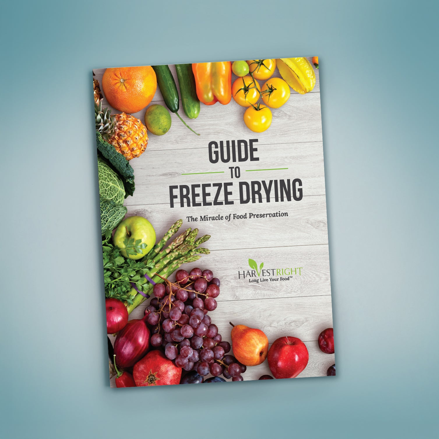 Free Guide to Freeze Drying