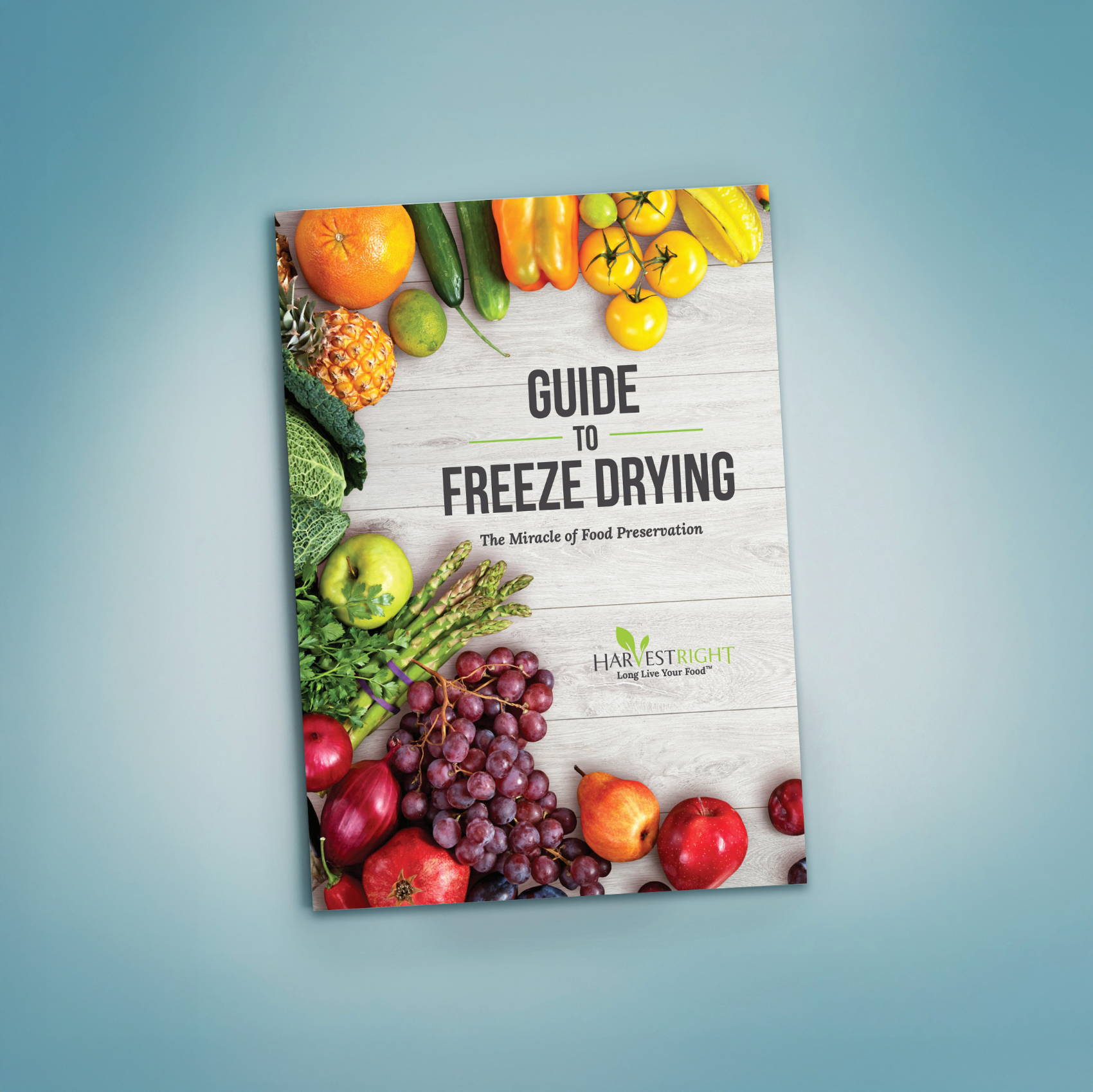 Book cover of 'Guide to Freeze Drying' with fruits and vegetables on a light blue background