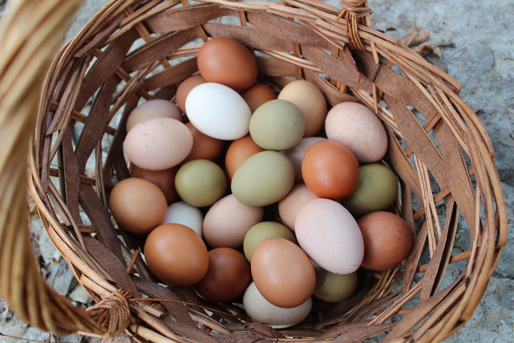 Basket filled with multicolored eggs on a stone surface