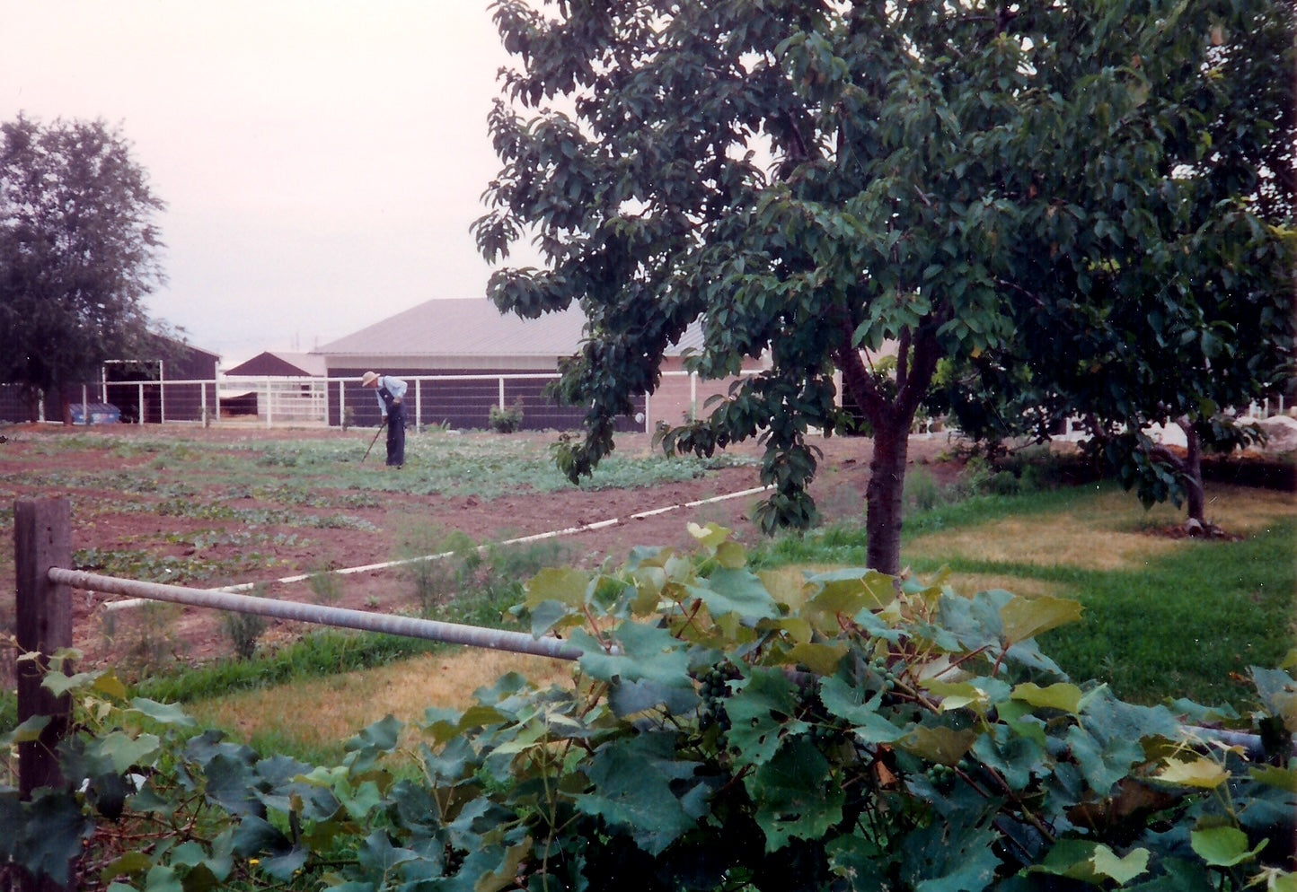 Preserving, Then and Now
