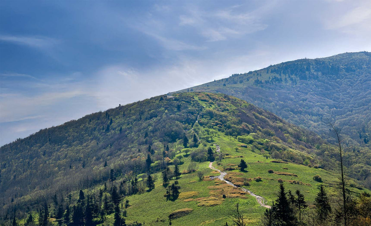 A Real Appalachian Trail Story: Gorgi Rigby's Comeback