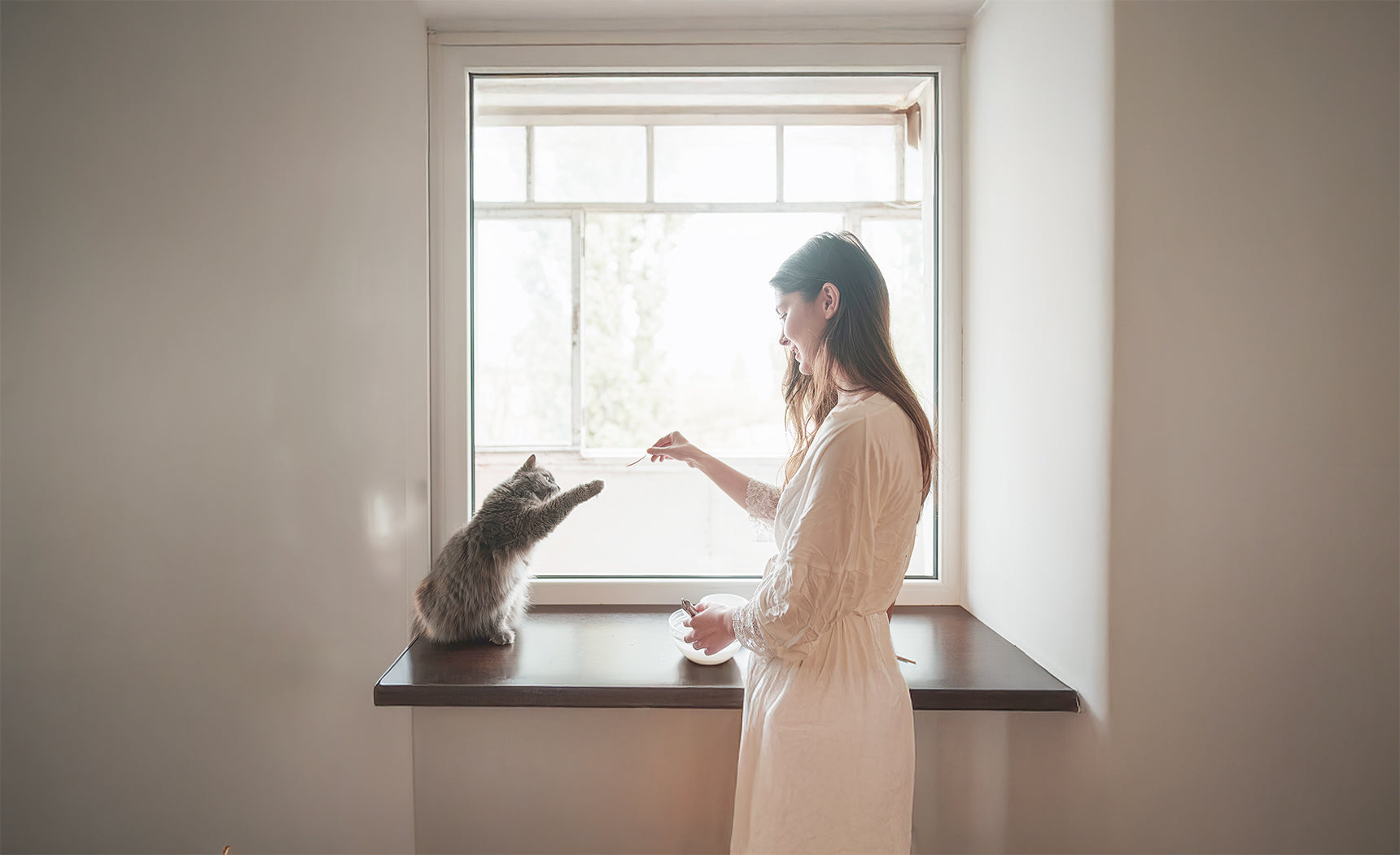 Freeze Dried Cat Snacks