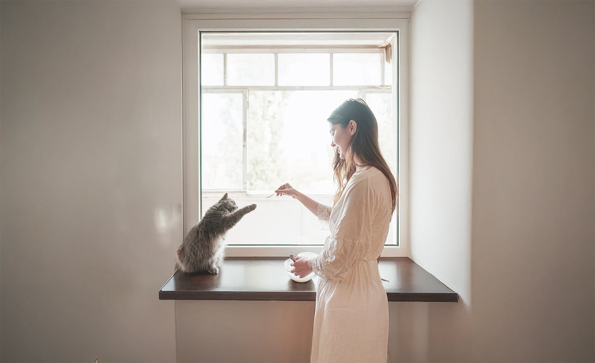 Simple Freeze-Dried Cat Snacks (and Dog Snacks Too)