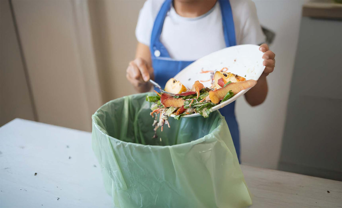 How Freeze-Drying Cuts Food Waste (And Saves Money)