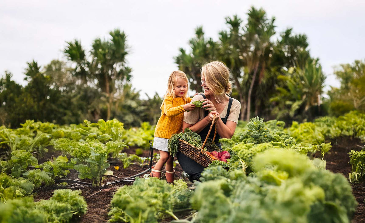 How to Preserve Your Garden Harvest by Freeze-Drying