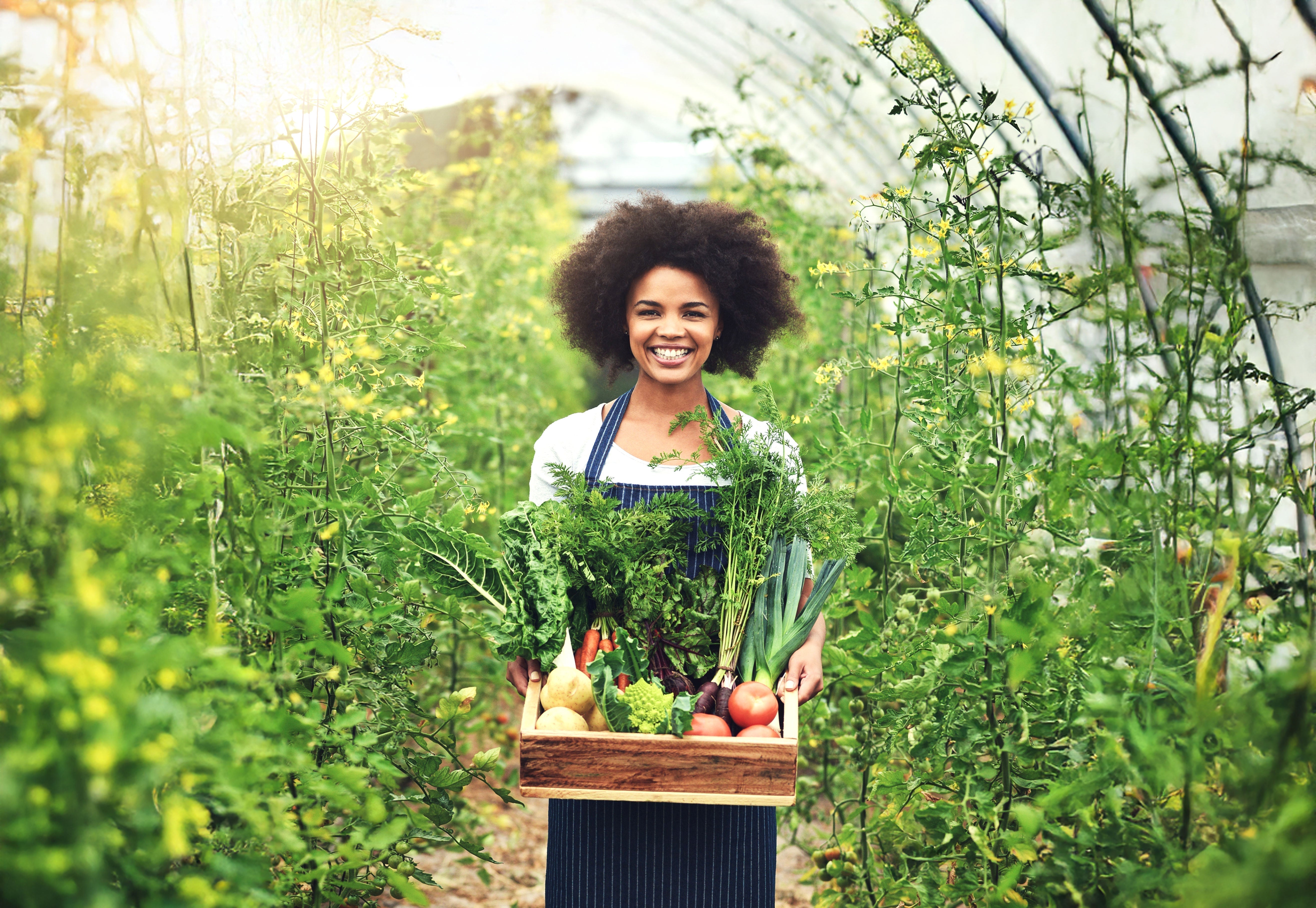 Preserve the Harvest: Freeze Drying Your Garden Produce