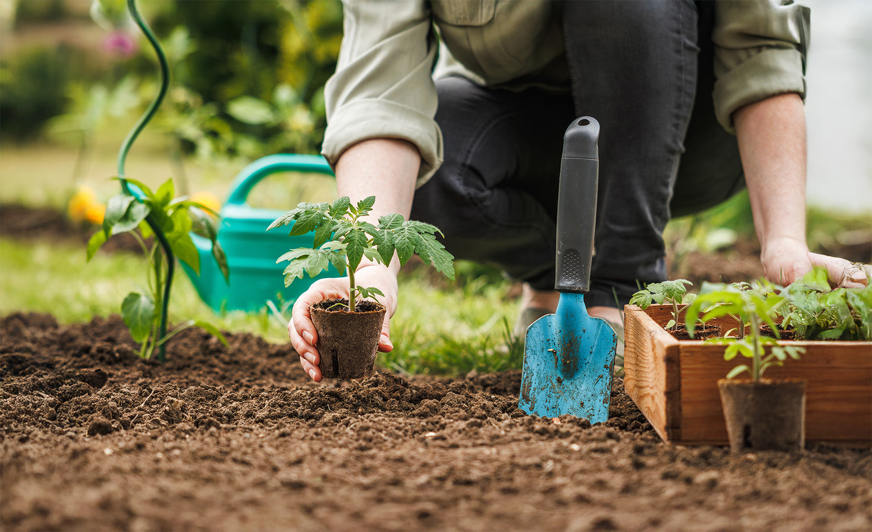 Go Ahead, Plant a Big Garden