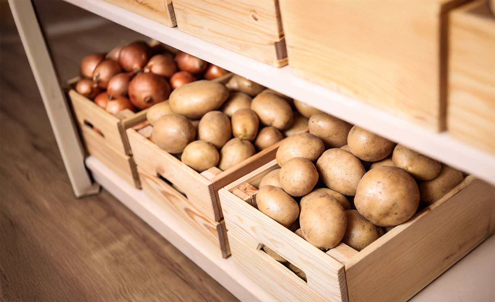 How to Properly Store Root Vegetables in the Kitchen
