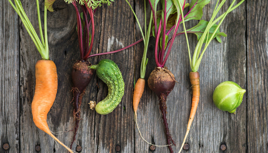 Embracing Ugly Food to Cut Food Waste