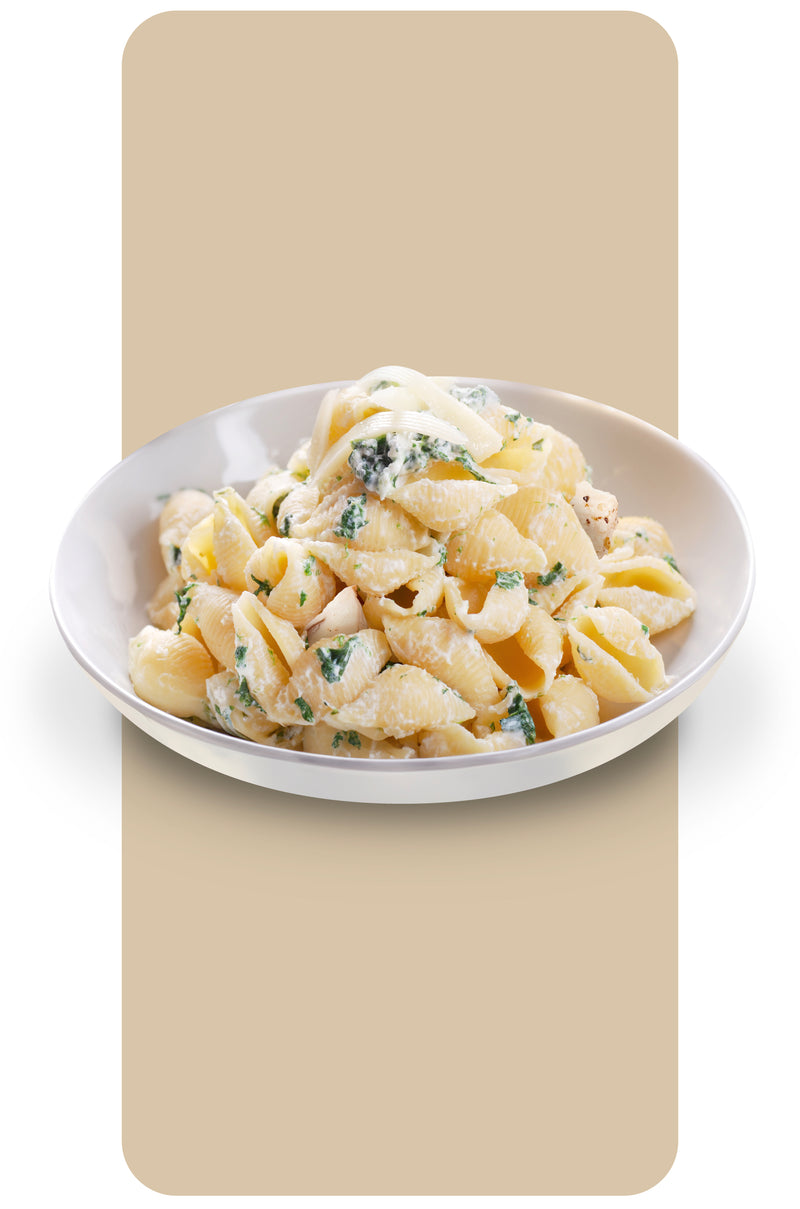 CHICKEN ALFREDO