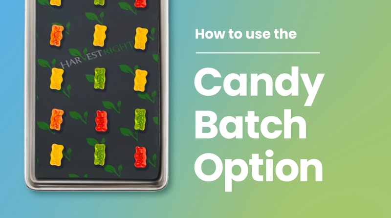 How to Use the 'Candy Batch' Setting