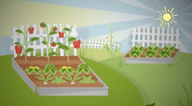 Harvest Right Freeze Dryer vs. Store-bought Freeze Dried Food