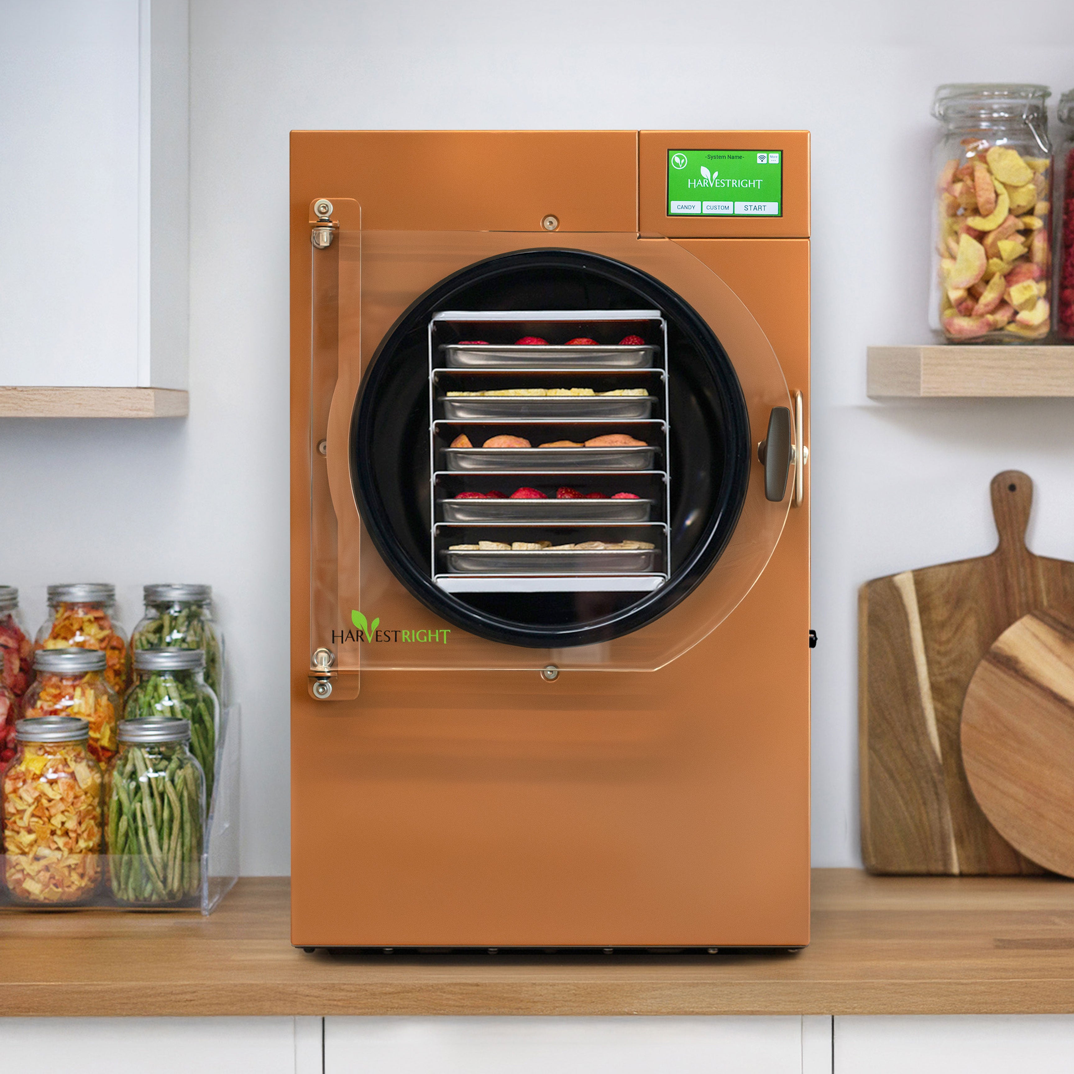 Home Freeze Dryer
