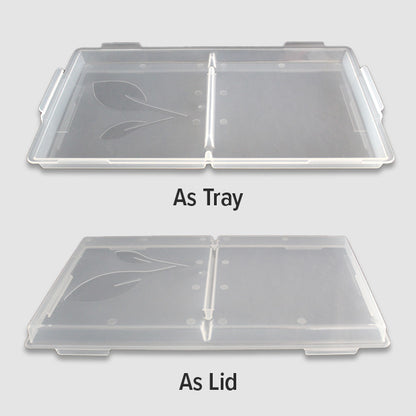 Tray Lids