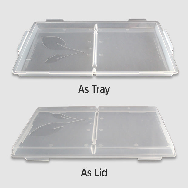 Tray Lids