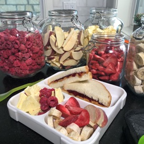 all kinds of freeze dried fruit in jars and a tray of freeze dried fruit and a pb&j sandwich