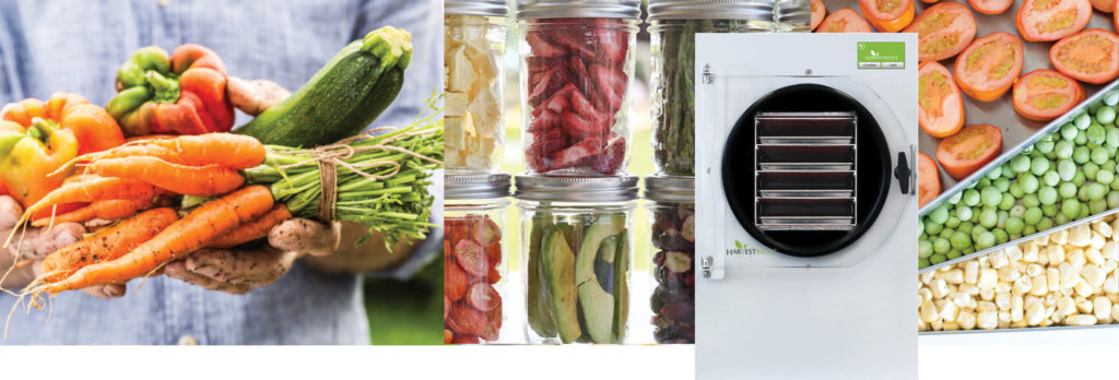 hands holding fresh picked food, jars of freeze dried food, a freeze dryer, food on trays