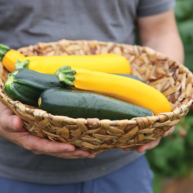 hands holding a basket of green and yellow zucchini