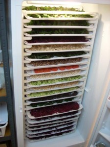 a freezer full of trays of food