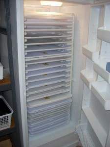 a freezer full of trays