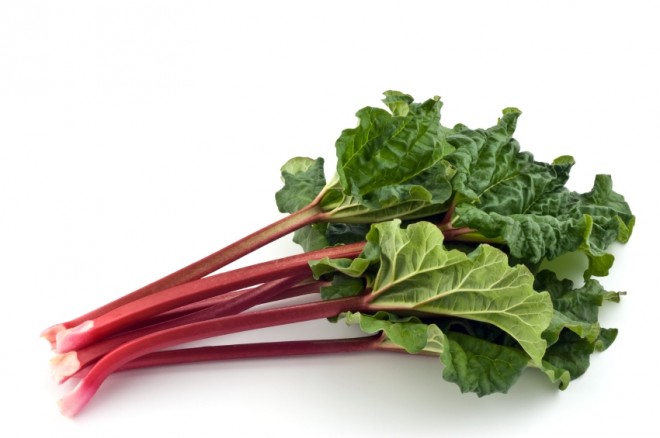 Freeze-Drying Sliced Celery and Rhubarb – Never Free Farm