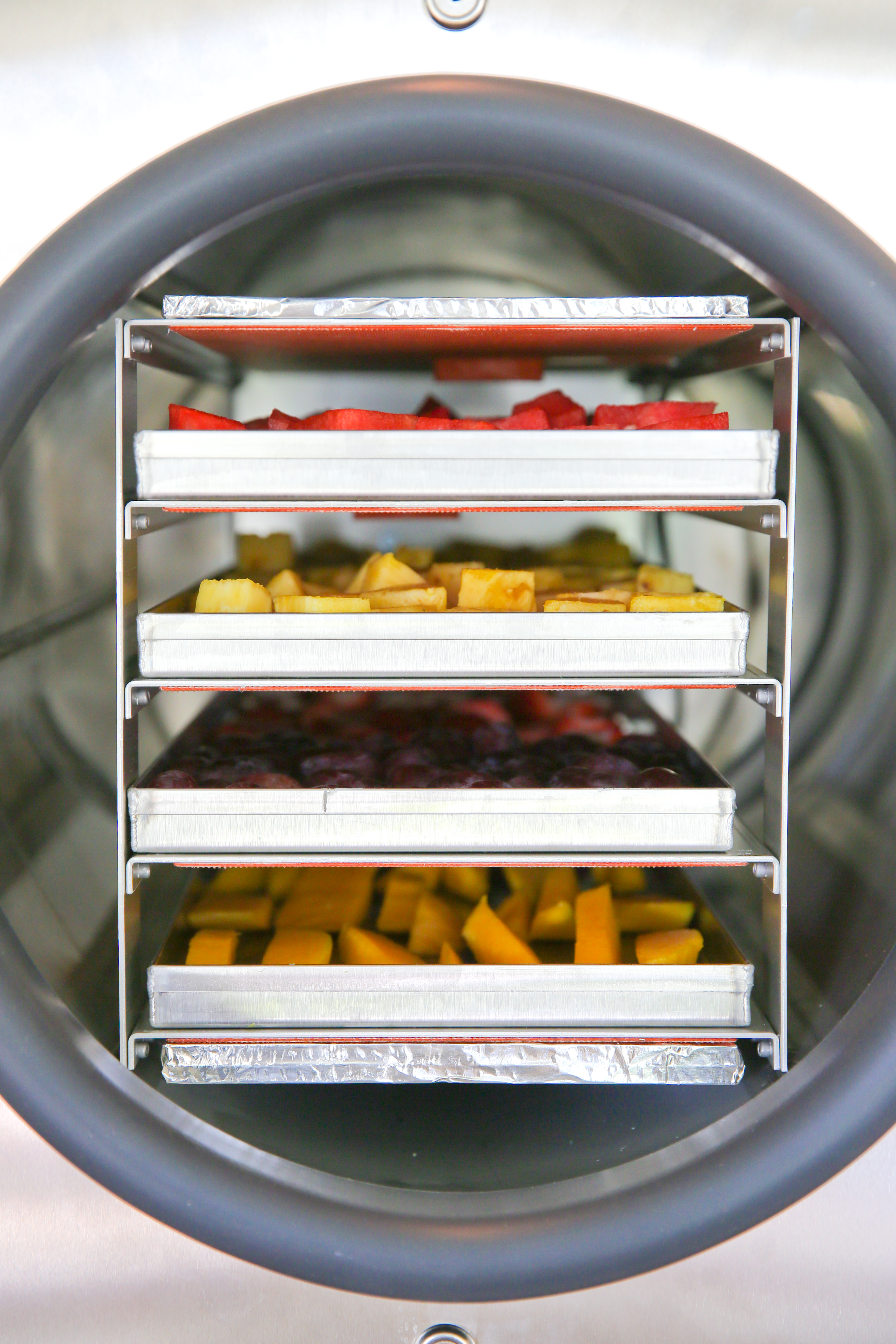 trays of food in a freeze dryer