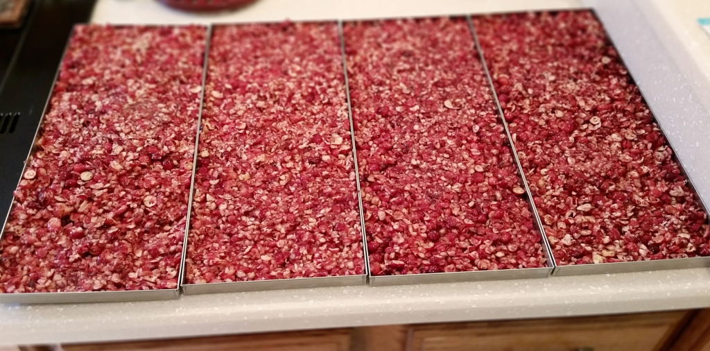 Trays filled with chopped cranberries, ready to freeze dry