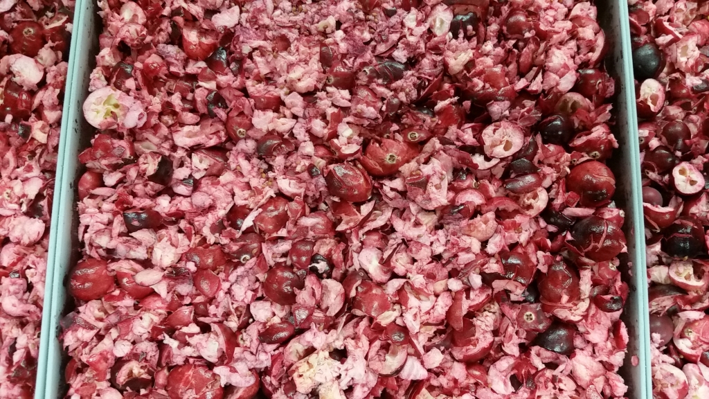 freeze dried cranberries