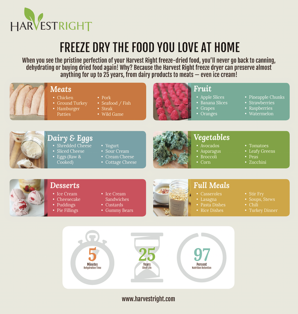 Freeze dried food infographic