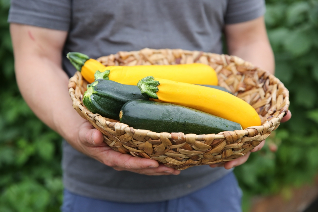 hands holding a bowl of zucchini and yellow squash