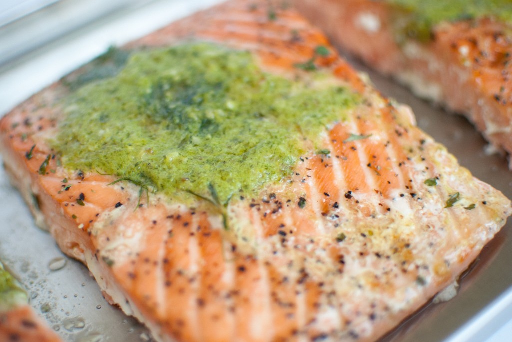 salmon fillets on a freeze dryer tray