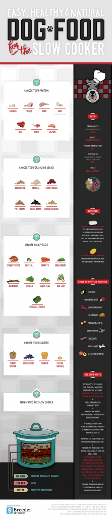 infographic from BreederRetriever.com. It shows you how to cook up (or freeze dry!) nutritious recipes for your precious pet
